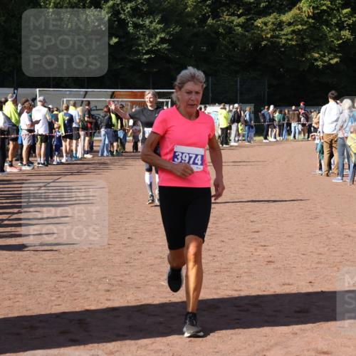 27.09.2026 - 35. Volkslauf durch das schöne Alstertal Strokosch-Dieckow http://msf.ph/oto/10584156 27.09.2026 11:37:23 Ziel 3187, 3324, 3974 meine-sportfotos.de