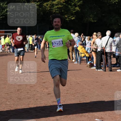 27.09.2026 - 35. Volkslauf durch das schöne Alstertal Strokosch-Dieckow http://msf.ph/oto/10584287 27.09.2026 11:36:48 Ziel 1448, 3258, 3259, 3332, 3963 meine-sportfotos.de