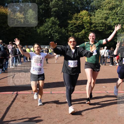 27.09.2026 - 35. Volkslauf durch das schöne Alstertal Strokosch-Dieckow http://msf.ph/oto/10584501 27.09.2026 11:35:57 Ziel 2045, 3087, 3101, 3138, 3228, 3300 meine-sportfotos.de