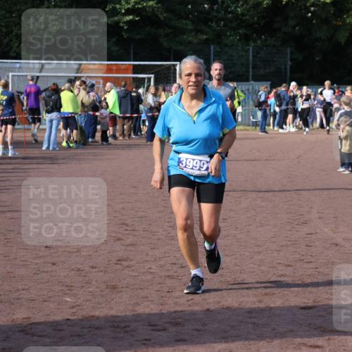 27.09.2026 - 35. Volkslauf durch das schöne Alstertal Strokosch-Dieckow http://msf.ph/oto/10584714 27.09.2026 11:35:00 Ziel 3132, 3244, 3999 meine-sportfotos.de