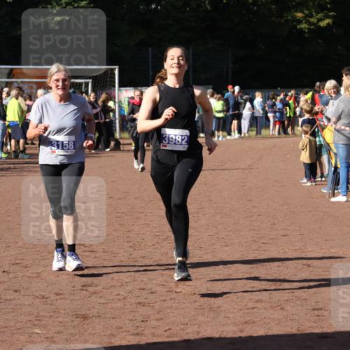 27.09.2026 - 35. Volkslauf durch das schöne Alstertal Strokosch-Dieckow http://msf.ph/oto/10584897 27.09.2026 11:33:43 Ziel 1419, 3158, 3178, 3982 meine-sportfotos.de