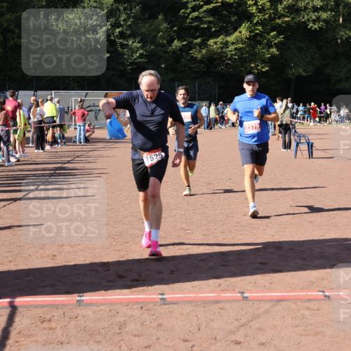 27.09.2026 - 35. Volkslauf durch das schöne Alstertal Strokosch-Dieckow http://msf.ph/oto/10585810 27.09.2026 11:55:49 Ziel 1517, 1525, 1559, 2335, 2379 meine-sportfotos.de