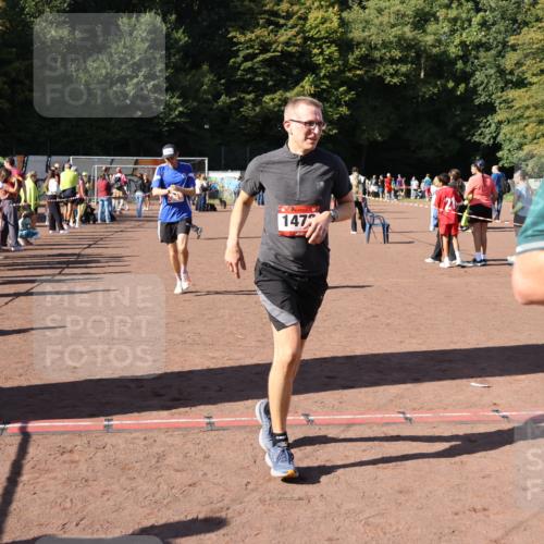 27.09.2026 - 35. Volkslauf durch das schöne Alstertal Strokosch-Dieckow http://msf.ph/oto/10585912 27.09.2026 11:54:59 Ziel 1472, 1497, 2334 meine-sportfotos.de