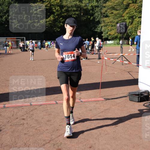 27.09.2026 - 35. Volkslauf durch das schöne Alstertal Strokosch-Dieckow http://msf.ph/oto/10585997 27.09.2026 11:54:17 Ziel 1013, 1014, 1518, 2119 meine-sportfotos.de