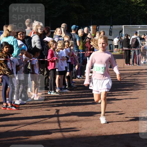 27.09.2026 - 35. Volkslauf durch das schöne Alstertal Strokosch-Dieckow http://msf.ph/oto/10586796 27.09.2026 10:59:56 Ziel 4117, 4130, 4134, 4159, 4160 meine-sportfotos.de