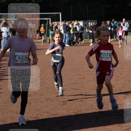 27.09.2026 - 35. Volkslauf durch das schöne Alstertal Strokosch-Dieckow http://msf.ph/oto/10586838 27.09.2026 10:59:30 Ziel 4043, 4047, 4049, 4111, 4202, 4203 meine-sportfotos.de