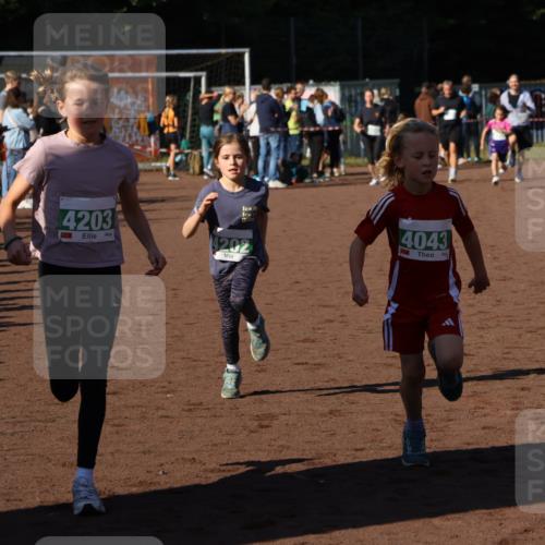 27.09.2026 - 35. Volkslauf durch das schöne Alstertal Strokosch-Dieckow http://msf.ph/oto/10586839 27.09.2026 10:59:30 Ziel 4043, 4047, 4049, 4111, 4202, 4203 meine-sportfotos.de