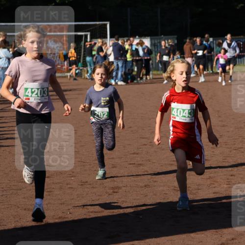 27.09.2026 - 35. Volkslauf durch das schöne Alstertal Strokosch-Dieckow http://msf.ph/oto/10586840 27.09.2026 10:59:30 Ziel 4043, 4047, 4049, 4111, 4202, 4203 meine-sportfotos.de