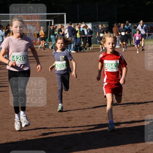 27.09.2026 - 35. Volkslauf durch das schöne Alstertal Strokosch-Dieckow http://msf.ph/oto/10586841 27.09.2026 10:59:30 Ziel 4043, 4047, 4049, 4111, 4202, 4203 meine-sportfotos.de