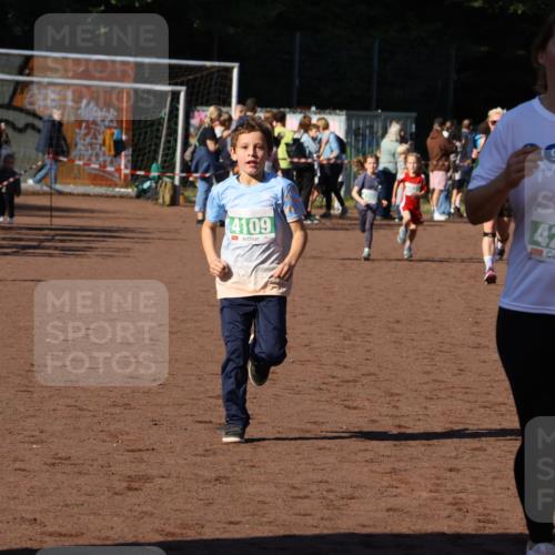 27.09.2026 - 35. Volkslauf durch das schöne Alstertal Strokosch-Dieckow http://msf.ph/oto/10586851 27.09.2026 10:59:23 Ziel 4043, 4109, 4111, 4185, 4202, 4203, 4234 meine-sportfotos.de