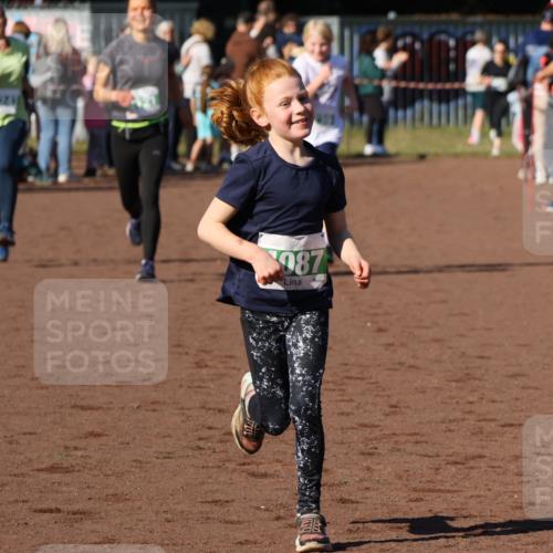 27.09.2026 - 35. Volkslauf durch das schöne Alstertal Strokosch-Dieckow http://msf.ph/oto/10586898 27.09.2026 10:58:08 Ziel 4087, 4121, 4239, 4242 meine-sportfotos.de