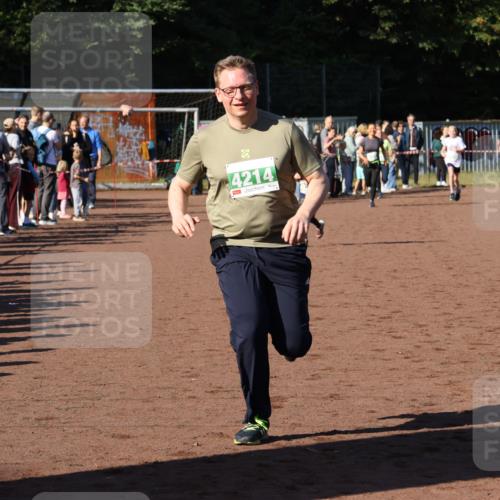27.09.2026 - 35. Volkslauf durch das schöne Alstertal Strokosch-Dieckow http://msf.ph/oto/10586908 27.09.2026 10:58:03 Ziel 4073, 4087, 4213, 4214 meine-sportfotos.de
