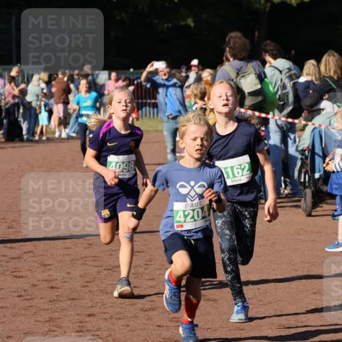 27.09.2026 - 35. Volkslauf durch das schöne Alstertal Strokosch-Dieckow http://msf.ph/oto/10586931 27.09.2026 10:57:50 Ziel 4098, 4140, 4141, 4162, 4169, 4204, 4221 meine-sportfotos.de