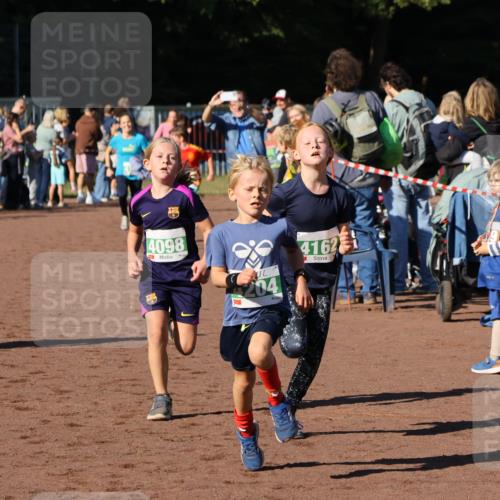 27.09.2026 - 35. Volkslauf durch das schöne Alstertal Strokosch-Dieckow http://msf.ph/oto/10586935 27.09.2026 10:57:50 Ziel 4098, 4140, 4141, 4162, 4169, 4204, 4221 meine-sportfotos.de