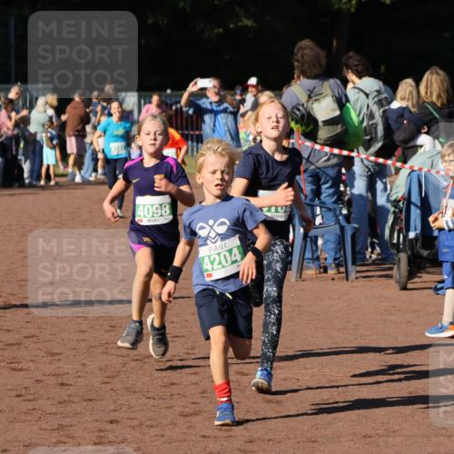 27.09.2026 - 35. Volkslauf durch das schöne Alstertal Strokosch-Dieckow http://msf.ph/oto/10586937 27.09.2026 10:57:50 Ziel 4098, 4140, 4141, 4162, 4169, 4204, 4221 meine-sportfotos.de
