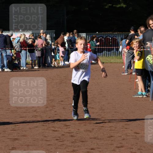 27.09.2026 - 35. Volkslauf durch das schöne Alstertal Strokosch-Dieckow http://msf.ph/oto/10586969 27.09.2026 10:57:11 Ziel 4059, 4094, 4177 meine-sportfotos.de