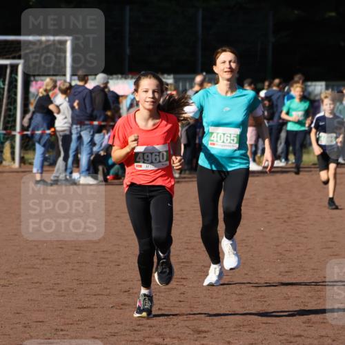 27.09.2026 - 35. Volkslauf durch das schöne Alstertal Strokosch-Dieckow http://msf.ph/oto/10586981 27.09.2026 10:57:00 Ziel 4065, 4094, 4960 meine-sportfotos.de