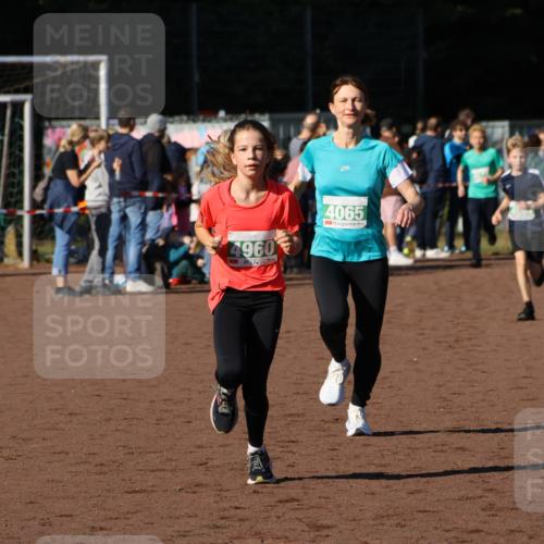 27.09.2026 - 35. Volkslauf durch das schöne Alstertal Strokosch-Dieckow http://msf.ph/oto/10586986 27.09.2026 10:57:00 Ziel 4065, 4094, 4960 meine-sportfotos.de