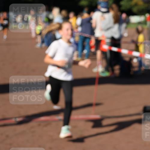 27.09.2026 - 35. Volkslauf durch das schöne Alstertal Strokosch-Dieckow http://msf.ph/oto/10587013 27.09.2026 10:56:10 Ziel 4142, 4144, 4148, 4207 meine-sportfotos.de