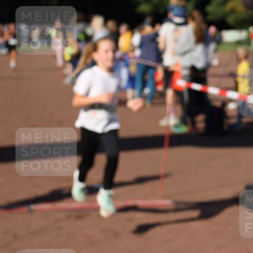 27.09.2026 - 35. Volkslauf durch das schöne Alstertal Strokosch-Dieckow http://msf.ph/oto/10587014 27.09.2026 10:56:10 Ziel 4142, 4144, 4148, 4207 meine-sportfotos.de