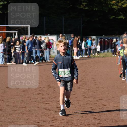 27.09.2026 - 35. Volkslauf durch das schöne Alstertal Strokosch-Dieckow http://msf.ph/oto/10587062 27.09.2026 10:55:19 Ziel 4956 meine-sportfotos.de