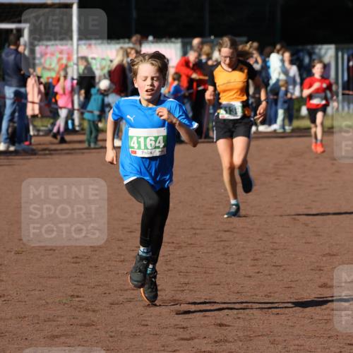 27.09.2026 - 35. Volkslauf durch das schöne Alstertal Strokosch-Dieckow http://msf.ph/oto/10587142 27.09.2026 10:54:11 Ziel 4007, 4139, 4164, 4243 meine-sportfotos.de