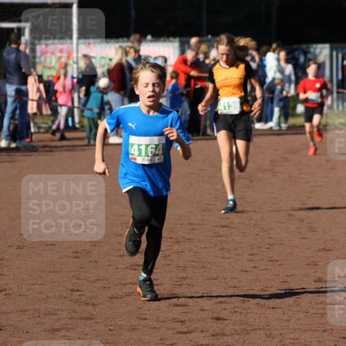 27.09.2026 - 35. Volkslauf durch das schöne Alstertal Strokosch-Dieckow http://msf.ph/oto/10587143 27.09.2026 10:54:11 Ziel 4007, 4139, 4164, 4243 meine-sportfotos.de