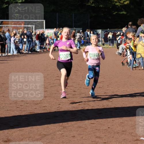 27.09.2026 - 35. Volkslauf durch das schöne Alstertal Strokosch-Dieckow http://msf.ph/oto/10587153 27.09.2026 10:53:48 Ziel 4006, 4025 meine-sportfotos.de