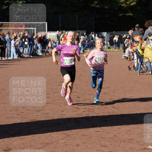 27.09.2026 - 35. Volkslauf durch das schöne Alstertal Strokosch-Dieckow http://msf.ph/oto/10587154 27.09.2026 10:53:48 Ziel 4006, 4025 meine-sportfotos.de