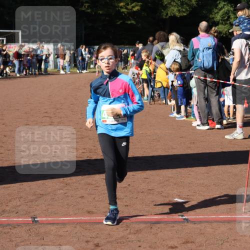 27.09.2026 - 35. Volkslauf durch das schöne Alstertal Strokosch-Dieckow http://msf.ph/oto/10587159 27.09.2026 10:53:40 Ziel 4006, 4025, 4228 meine-sportfotos.de