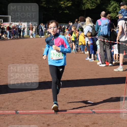 27.09.2026 - 35. Volkslauf durch das schöne Alstertal Strokosch-Dieckow http://msf.ph/oto/10587160 27.09.2026 10:53:40 Ziel 4006, 4025, 4228 meine-sportfotos.de
