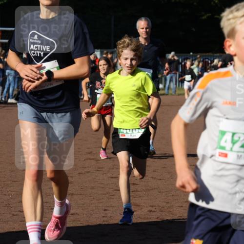 27.09.2026 - 35. Volkslauf durch das schöne Alstertal Strokosch-Dieckow http://msf.ph/oto/10587177 27.09.2026 10:53:28 Ziel 4061, 4083, 4104, 4105, 4201, 4957 meine-sportfotos.de