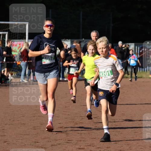 27.09.2026 - 35. Volkslauf durch das schöne Alstertal Strokosch-Dieckow http://msf.ph/oto/10587188 27.09.2026 10:53:25 Ziel 4083, 4104, 4105, 4201, 4957 meine-sportfotos.de