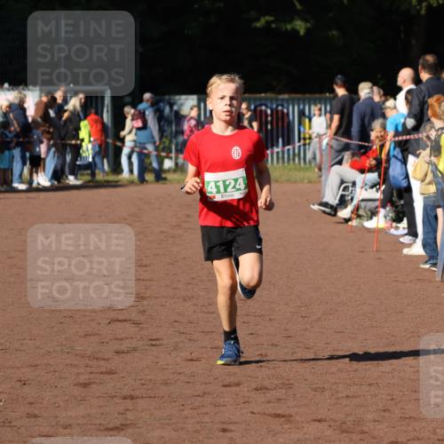 27.09.2026 - 35. Volkslauf durch das schöne Alstertal Strokosch-Dieckow http://msf.ph/oto/10587214 27.09.2026 10:52:10 Ziel 4082, 4124 meine-sportfotos.de