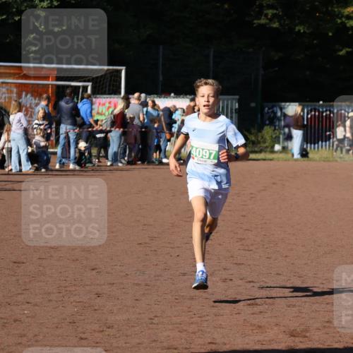 27.09.2026 - 35. Volkslauf durch das schöne Alstertal Strokosch-Dieckow http://msf.ph/oto/10587295 27.09.2026 10:49:44 Ziel 4097 meine-sportfotos.de