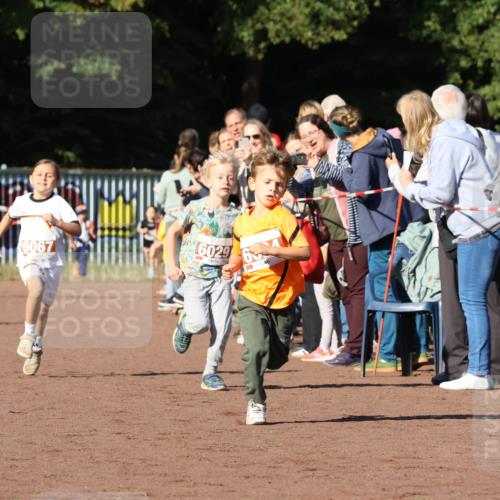 27.09.2026 - 35. Volkslauf durch das schöne Alstertal Strokosch-Dieckow http://msf.ph/oto/10587319 27.09.2026 10:42:21 Ziel 6067, 6029 meine-sportfotos.de