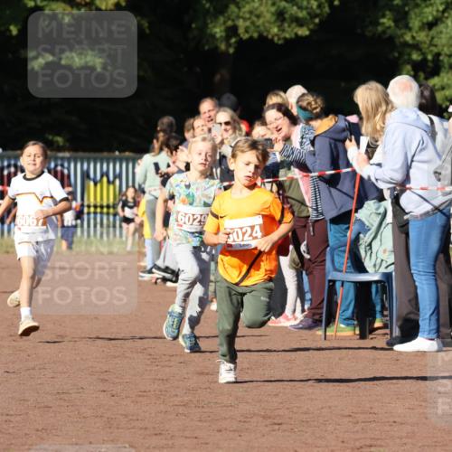 27.09.2026 - 35. Volkslauf durch das schöne Alstertal Strokosch-Dieckow http://msf.ph/oto/10587320 27.09.2026 10:42:21 Ziel 6067, 6029, 5024 meine-sportfotos.de