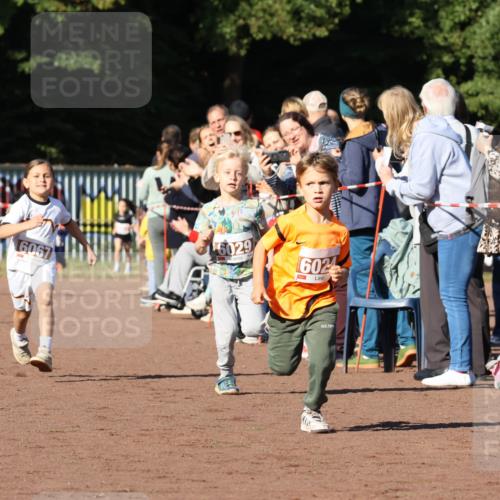27.09.2026 - 35. Volkslauf durch das schöne Alstertal Strokosch-Dieckow http://msf.ph/oto/10587324 27.09.2026 10:42:21 Ziel 16067, 6029, 6024 meine-sportfotos.de