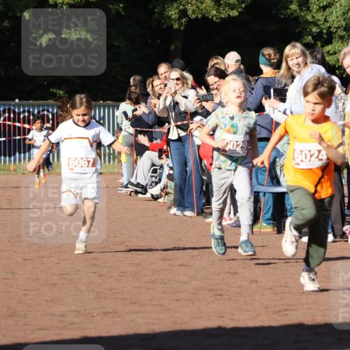 27.09.2026 - 35. Volkslauf durch das schöne Alstertal Strokosch-Dieckow http://msf.ph/oto/10587325 27.09.2026 10:42:22 Ziel 972, 600, 6067, 5029, 6024 meine-sportfotos.de
