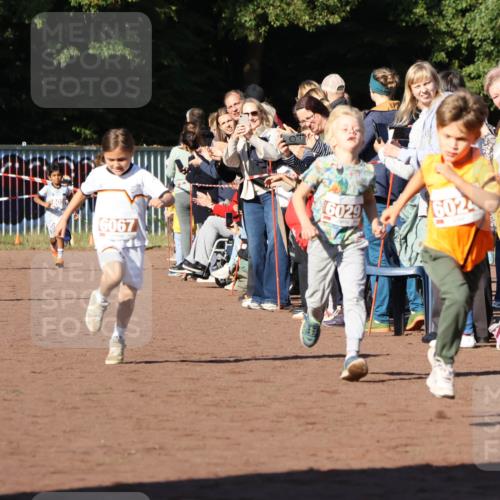 27.09.2026 - 35. Volkslauf durch das schöne Alstertal Strokosch-Dieckow http://msf.ph/oto/10587326 27.09.2026 10:42:22 Ziel 6972, 6009, 6067, 6029, 6024 meine-sportfotos.de
