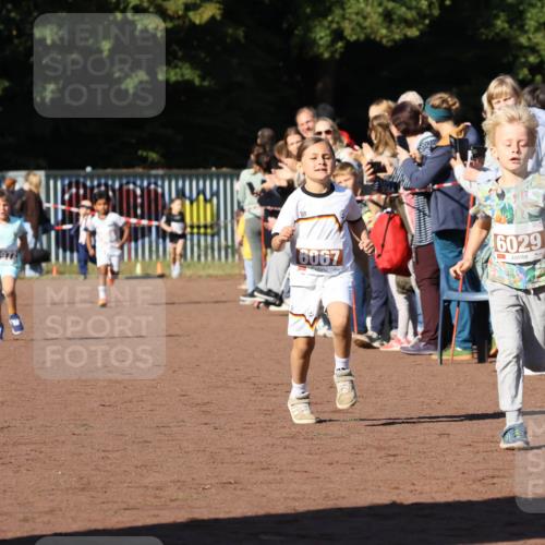 27.09.2026 - 35. Volkslauf durch das schöne Alstertal Strokosch-Dieckow http://msf.ph/oto/10587329 27.09.2026 10:42:23 Ziel 6972, 6067, 6029 meine-sportfotos.de