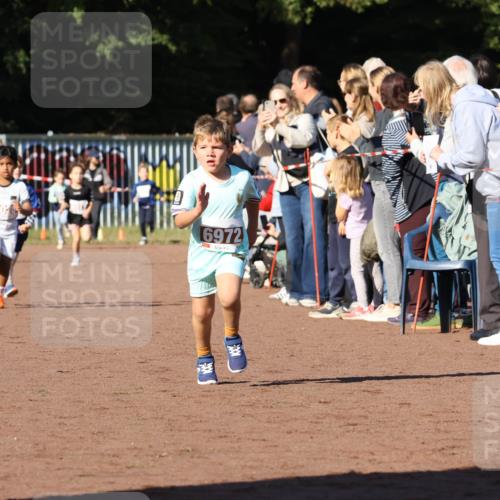 27.09.2026 - 35. Volkslauf durch das schöne Alstertal Strokosch-Dieckow http://msf.ph/oto/10587343 27.09.2026 10:42:28 Ziel 6972 meine-sportfotos.de