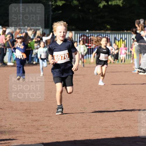27.09.2026 - 35. Volkslauf durch das schöne Alstertal Strokosch-Dieckow http://msf.ph/oto/10587357 27.09.2026 10:42:34 Ziel 6970 meine-sportfotos.de