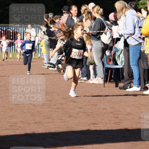 27.09.2026 - 35. Volkslauf durch das schöne Alstertal Strokosch-Dieckow http://msf.ph/oto/10587358 27.09.2026 10:42:37 Ziel 6027, 6017 meine-sportfotos.de