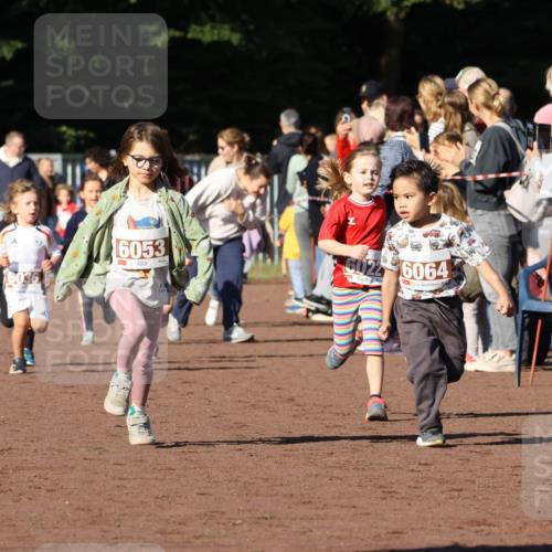 27.09.2026 - 35. Volkslauf durch das schöne Alstertal Strokosch-Dieckow http://msf.ph/oto/10587377 27.09.2026 10:42:48 Ziel 6036, 6053, 6022, 6064 meine-sportfotos.de