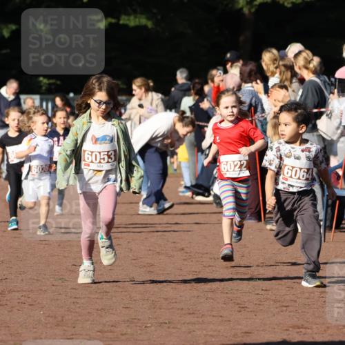 27.09.2026 - 35. Volkslauf durch das schöne Alstertal Strokosch-Dieckow http://msf.ph/oto/10587381 27.09.2026 10:42:48 Ziel 6053, 6036, 6022, 6064 meine-sportfotos.de