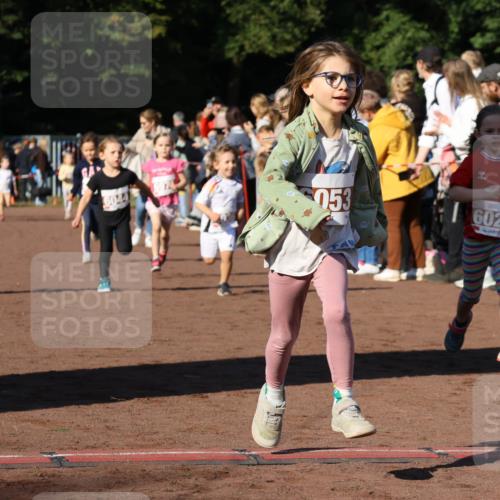 27.09.2026 - 35. Volkslauf durch das schöne Alstertal Strokosch-Dieckow http://msf.ph/oto/10587385 27.09.2026 10:42:52 Ziel 6068, 6044, 053, 6022 meine-sportfotos.de