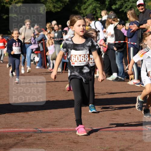27.09.2026 - 35. Volkslauf durch das schöne Alstertal Strokosch-Dieckow http://msf.ph/oto/10587393 27.09.2026 10:42:55 Ziel 6057, 6068, 14, 60 meine-sportfotos.de