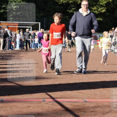 27.09.2026 - 35. Volkslauf durch das schöne Alstertal Strokosch-Dieckow http://msf.ph/oto/10587415 27.09.2026 10:43:06 Ziel 6974, 6975, 6051 meine-sportfotos.de