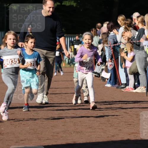 27.09.2026 - 35. Volkslauf durch das schöne Alstertal Strokosch-Dieckow http://msf.ph/oto/10587418 27.09.2026 10:43:18 Ziel 6035, 278, 6983 meine-sportfotos.de